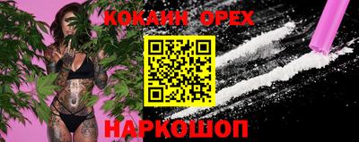 apvp Ливны