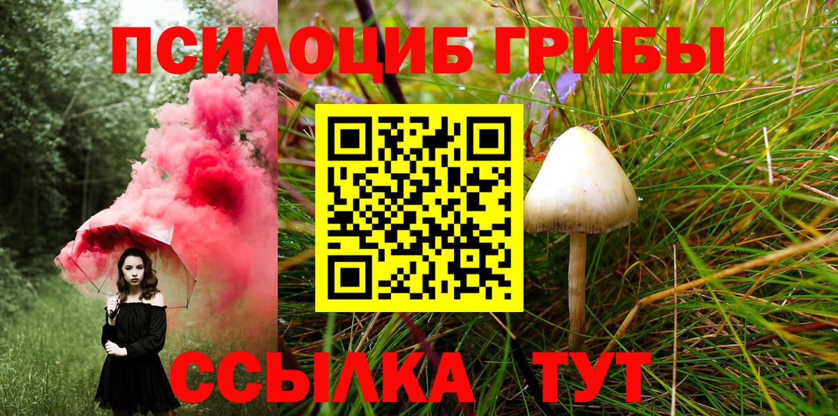 Псилоцибиновые грибы GOLDEN TEACHER Железногорск