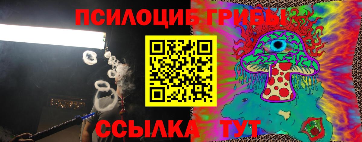 Галлюциногенные грибы мицелий  Вход с VPN  Железногорск 